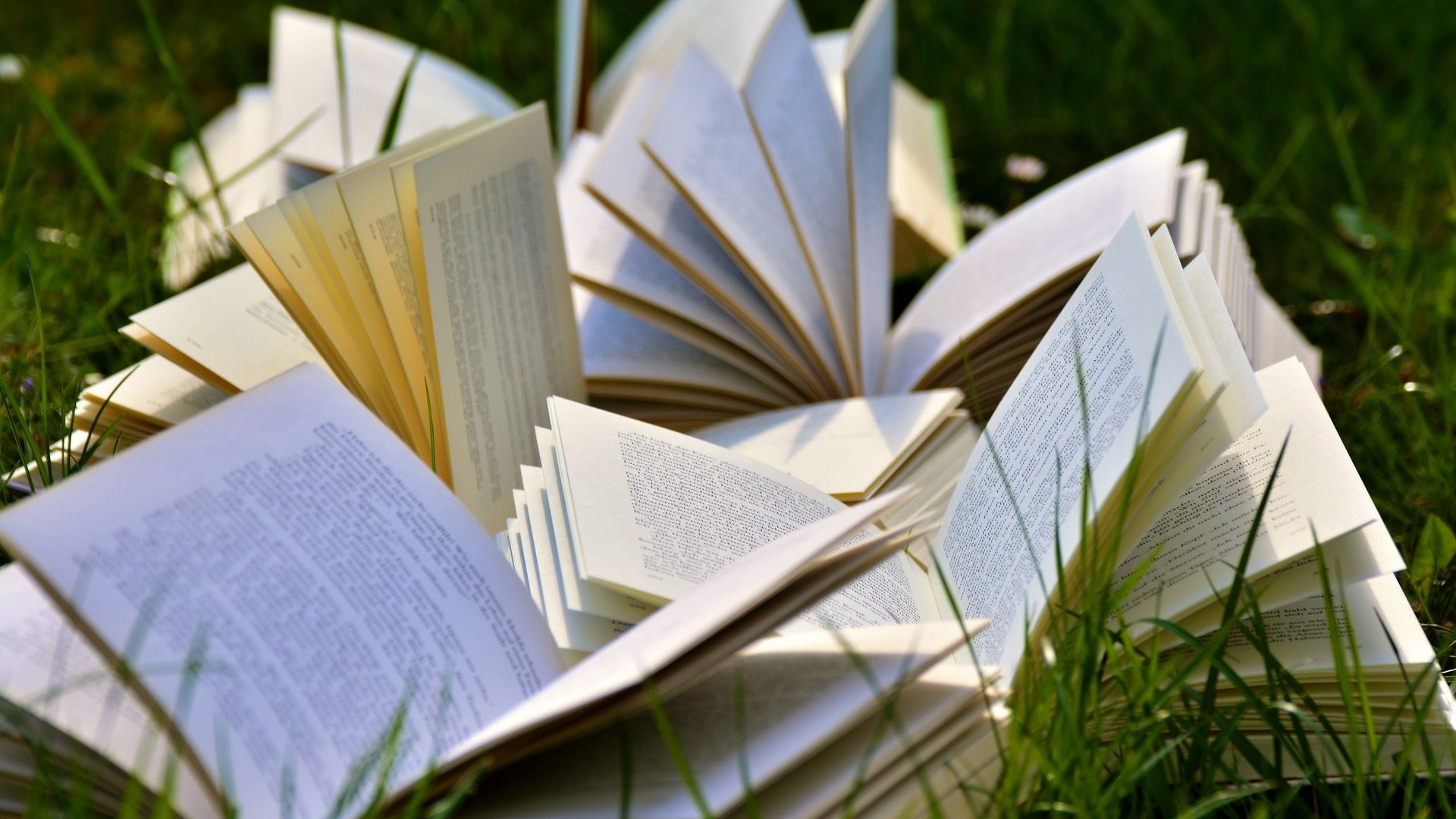 Otevřené knihy položené v trávě